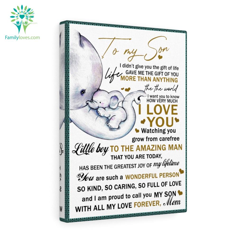 To My Son I Didn’T Give You The Gift Of Life Elephant Canvas