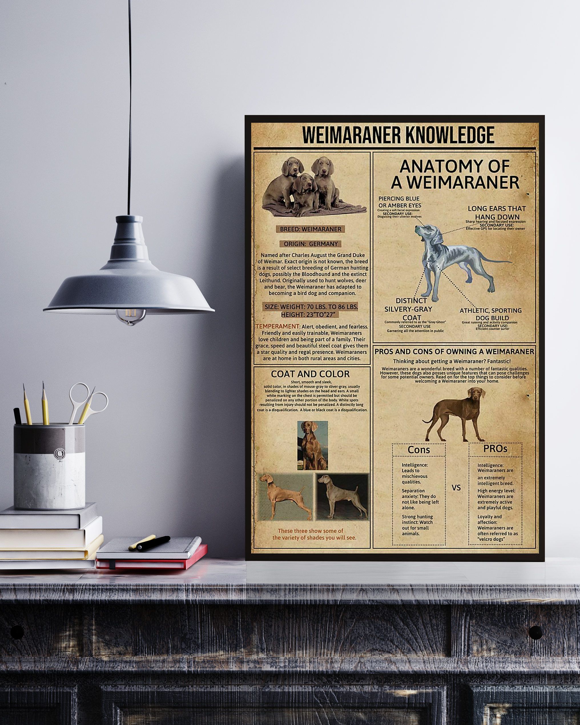 Weimaraner Poster Portrait Knowledge Poster No Frame