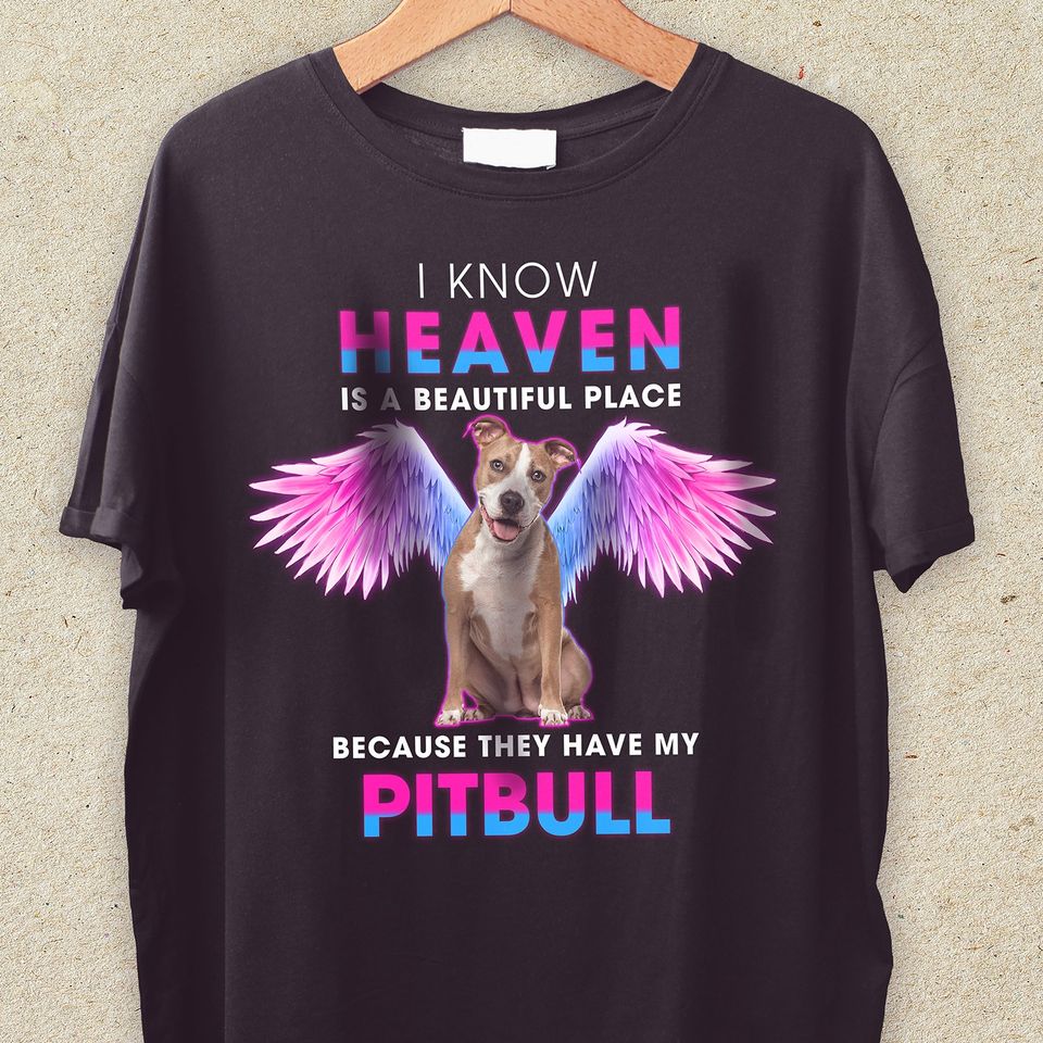 I Know Heaven Is A Beautiful Place Because They Have My Pitbull Lovers Gift Standard/Premium T-Shirt