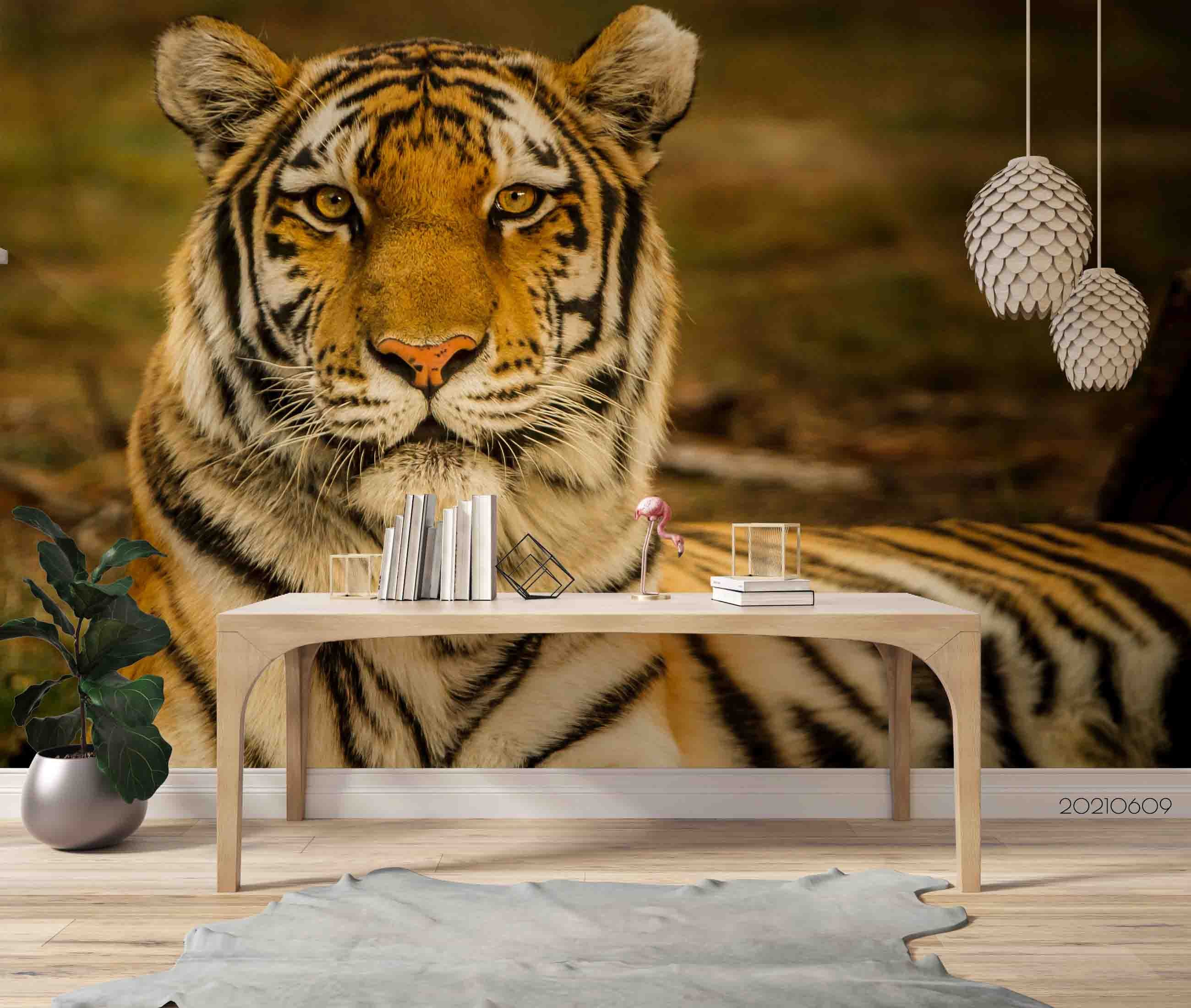 3D Africa  Animal Tiger Realistic Wall Mural Wallpaper Sww1652