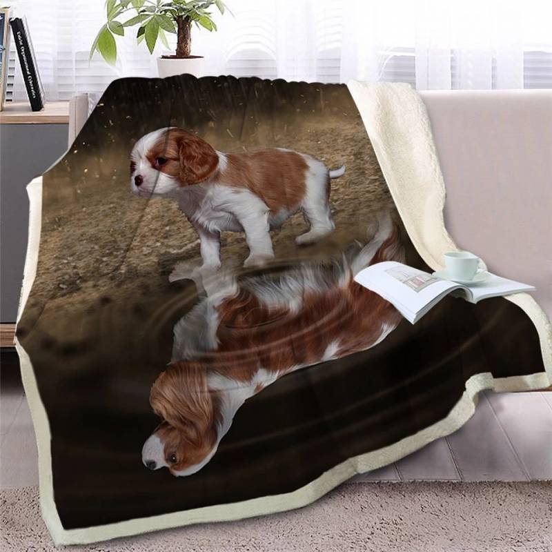 Puppy Cavalier King Charles Spaniel Looking At Reflection CLH2511381F Sherpa Fleece Blanket