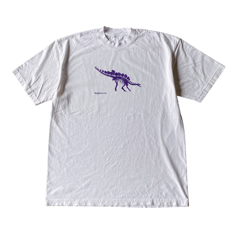 Stegosaurus v1 Tee Shirt Outfit