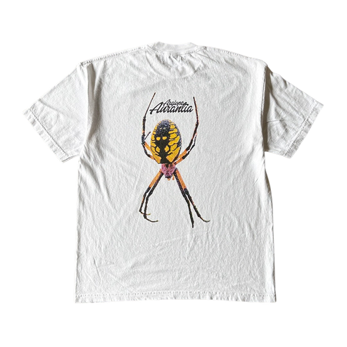 Yellow Argiope Aulantia Tee Shirt Outfit