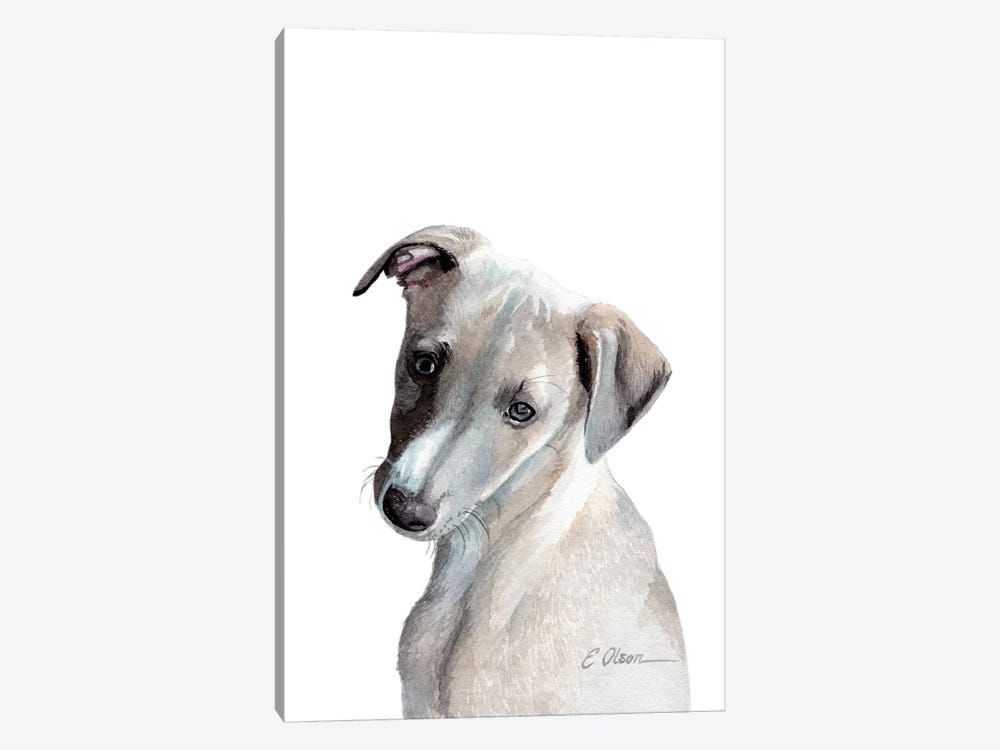 Whippet Puppy Canvas Poster 8″x12″ 12×18″ 18″x26″ 24″x36″ 30″x45″