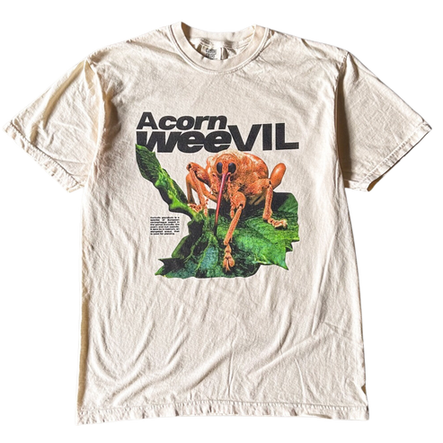 Acorn Weevil Stare Tee Shirt Outfit  For Men  For Women