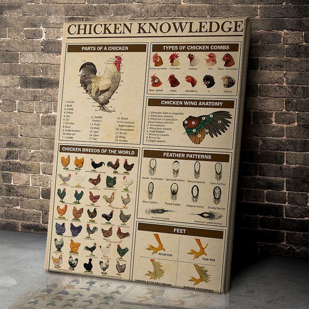 Chicken Knowledge Poster & Canvas - Poster Art Design