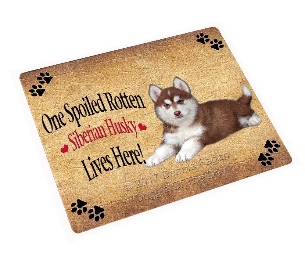 Spoiled Rotten Siberian Husky Puppy Dog Art Portrait Print Woven Throw Sherpa Plush Fleece Blanket