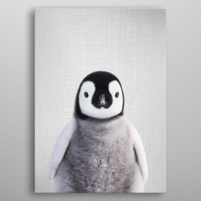 Baby Penguin Colorful Canvas Poster 8″x12″ 12×18″ 18″x26″ 24″x36″ 30″x45″