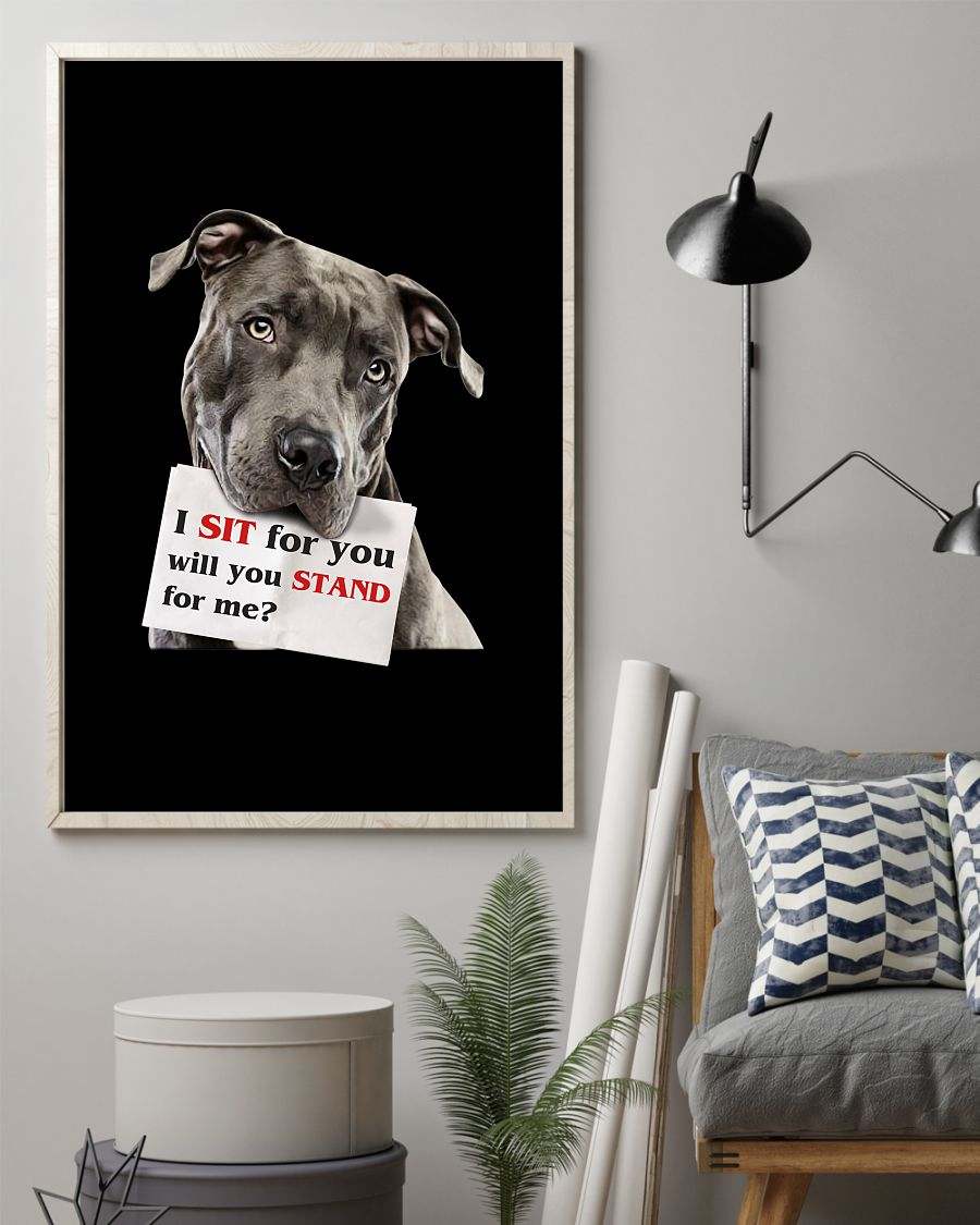 Pitbull Sit For You Will You Stand For Me poster
