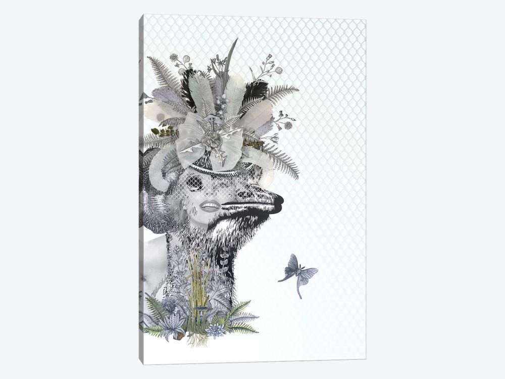 Animal Attraction Lana II Canvas Poster 8”x12” 12×18” 18”x26” 24”x36” 30”x45”