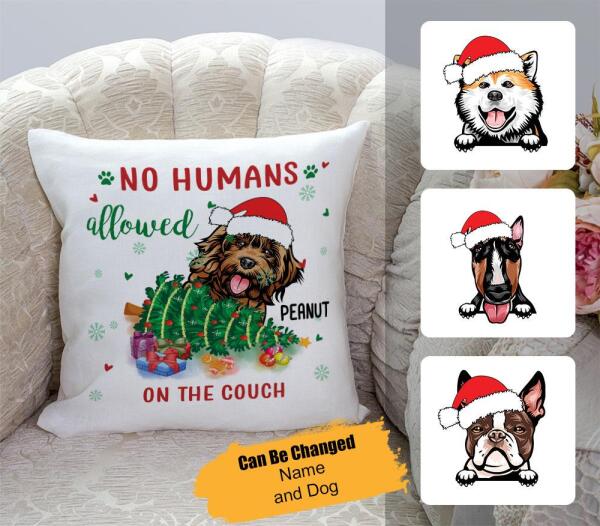 No Humas Allowed – Personalized Custom Canvas Pillow Christmas Gifts – Trending Personalizezd