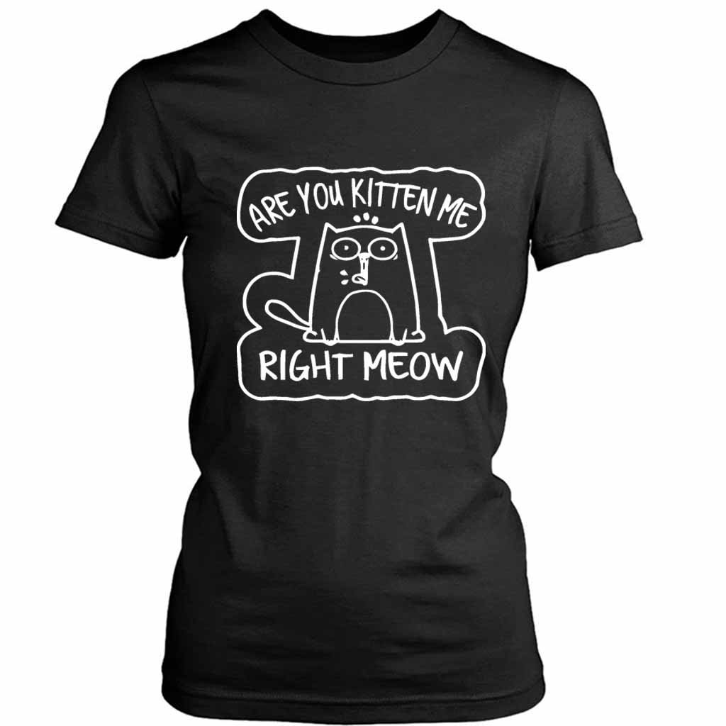 Are You Kitten Me Right Meow Vintage Range Women’s Tee T-Shirt