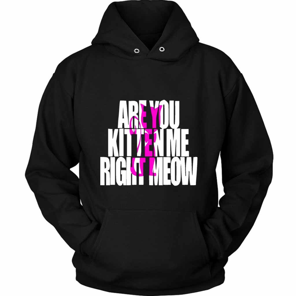 Are You Kitten Me Right Meow One Unisex Hoodie