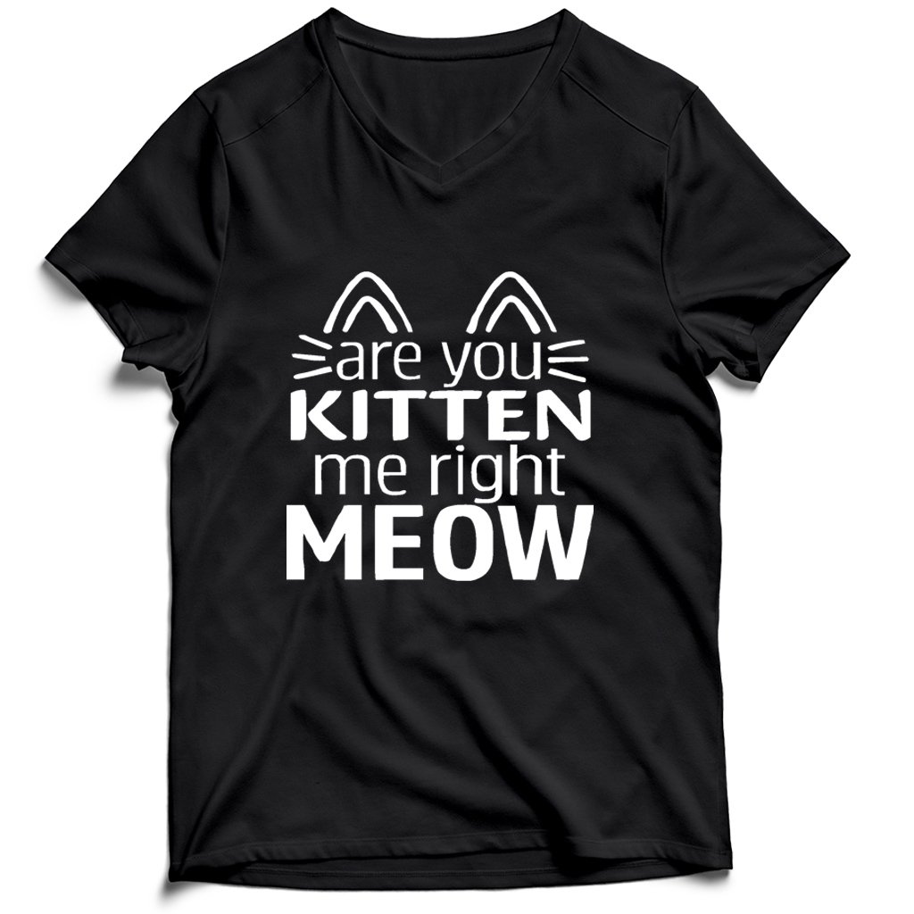 Are You Kitten Me Right Meow Mask Men’s V-Neck Tee T-Shirt