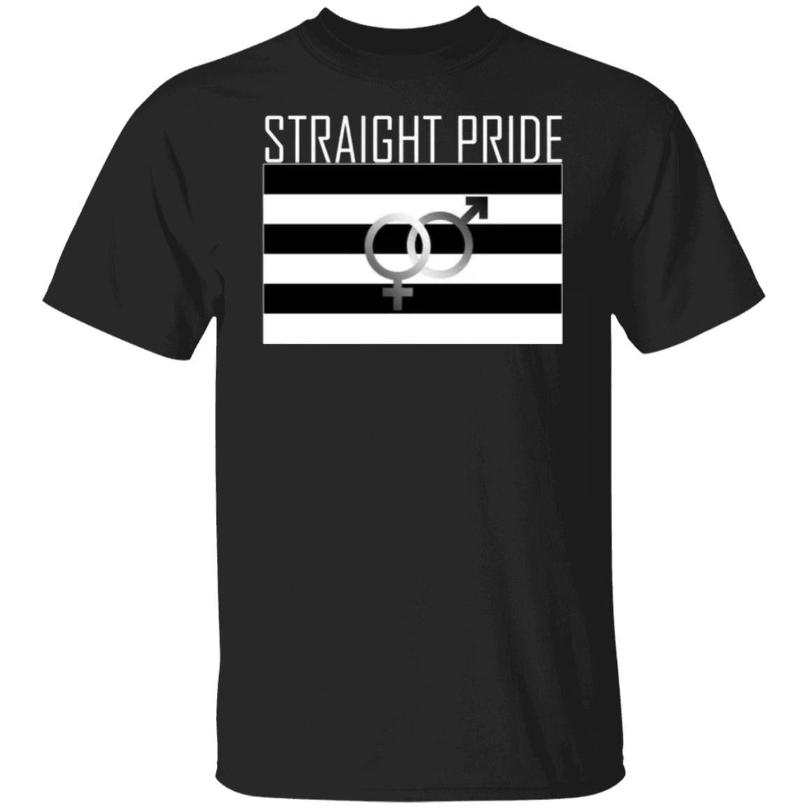 Straight Pride Shirt Transgender Pride Flag LGBTQ Merch Gifts For Gay ...