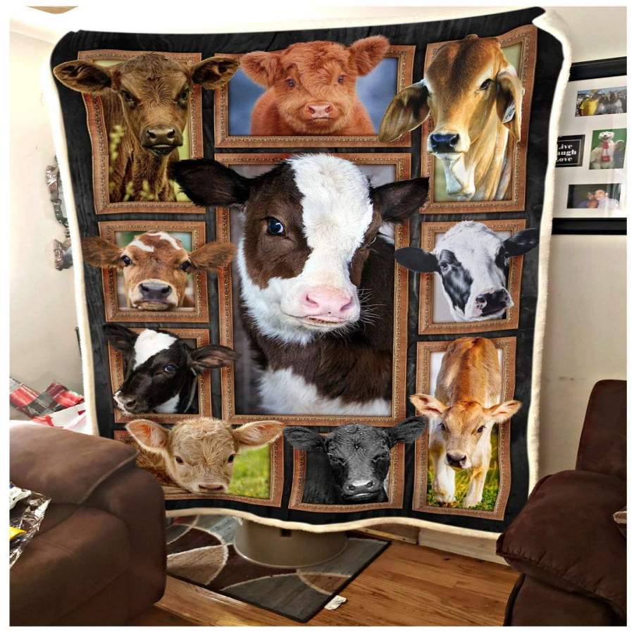 Blanket Gift For Cow Lovers  Cute Cows