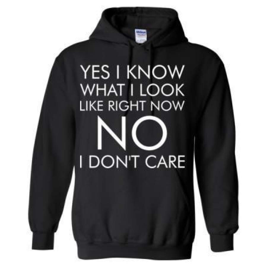 AGR Yes I Know What I Look Like Right Now No I Dont Care – Heavy Blend™ Hooded Sweatshirt