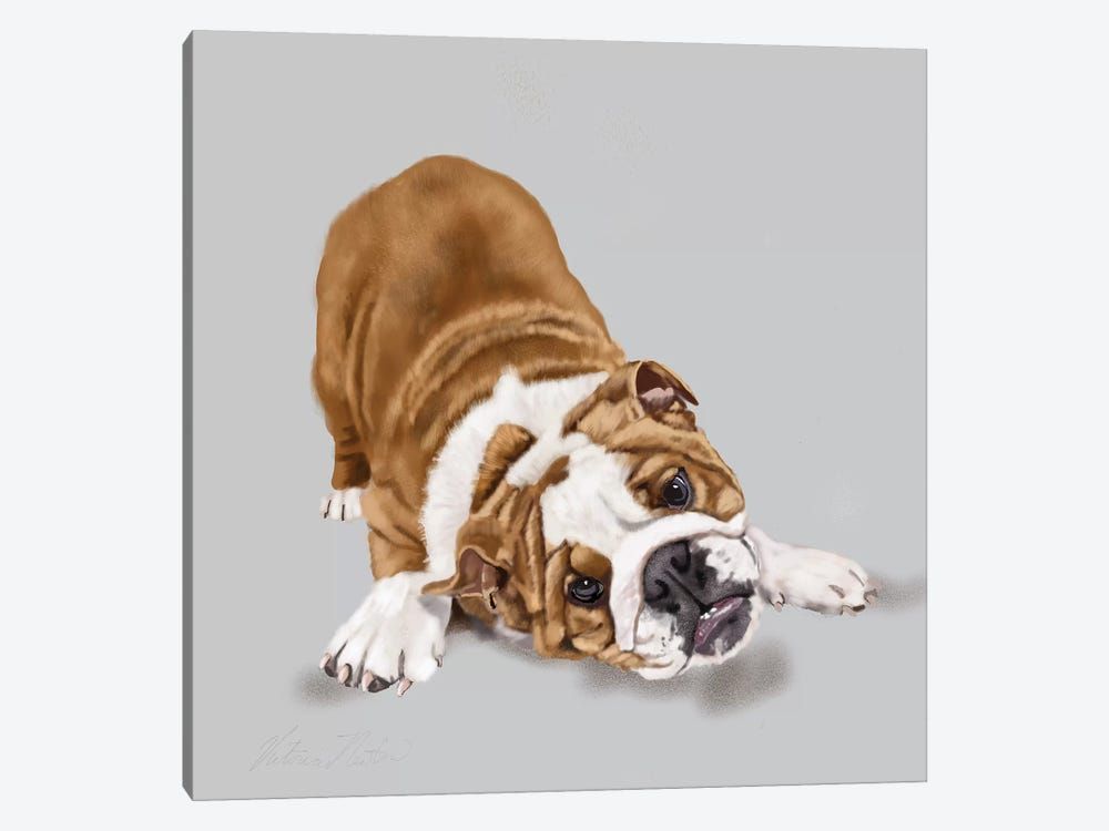 Bulldog Puppy Canvas Poster 8″x12″ 12×18″ 18″x26″ 24″x36″ 30″x45″