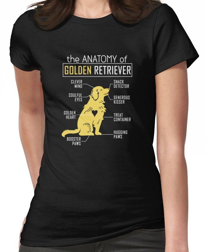 Anatomy Of A Golden Retriever Shirt