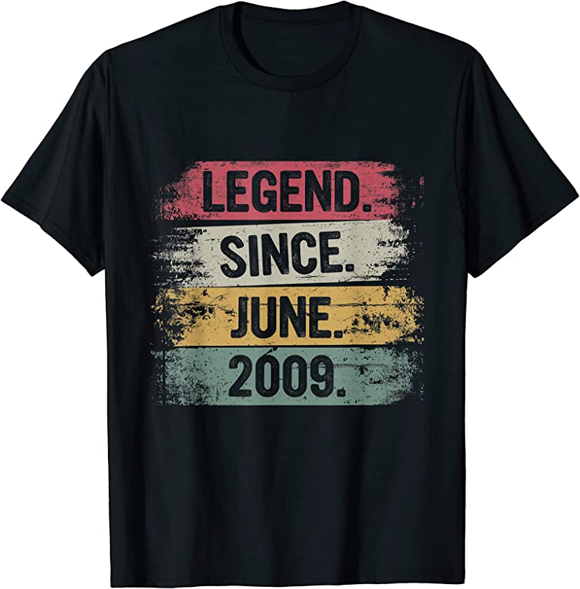 Vintage June 2009 Retro 12 Years Old Distressed 12th Bday T-Shirt