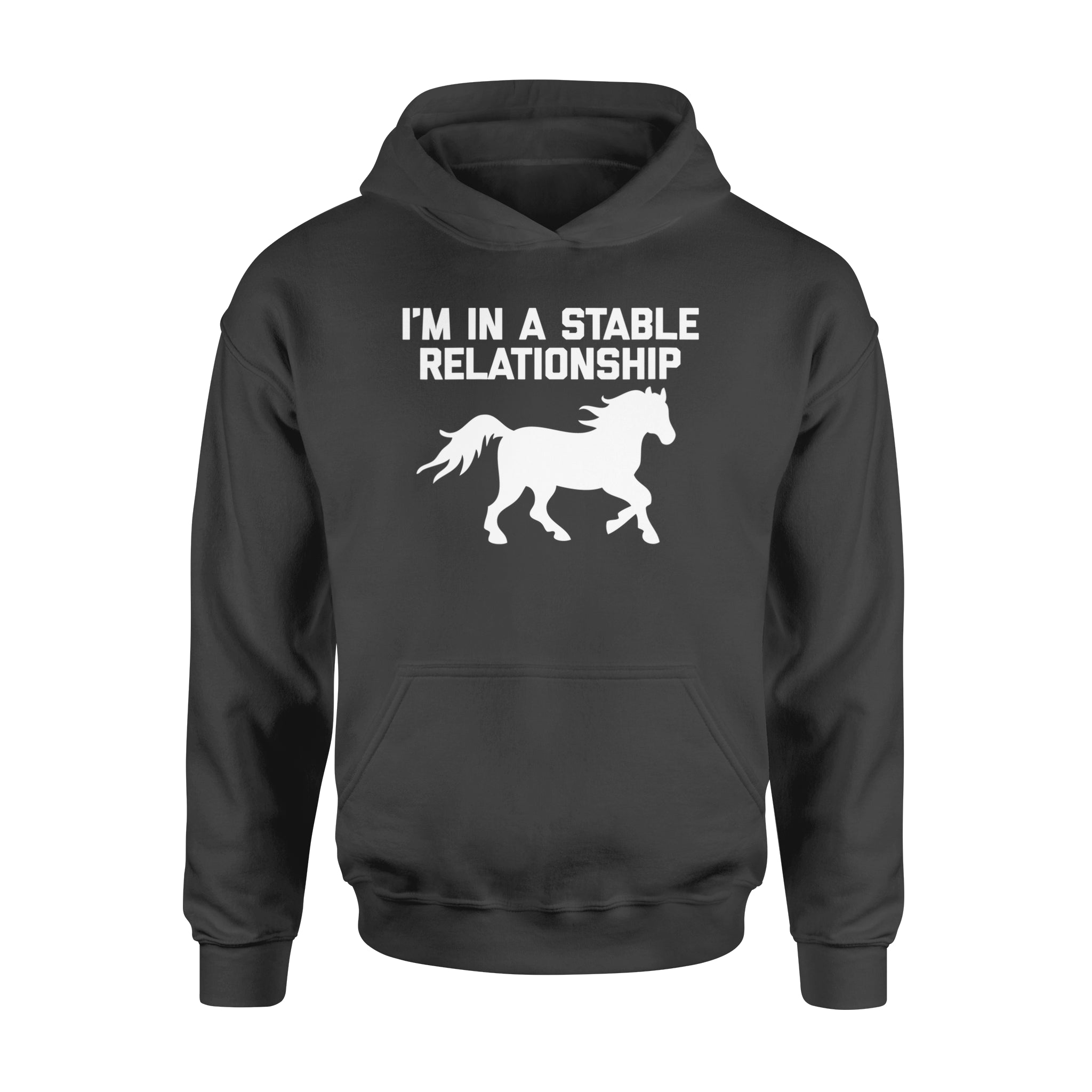 Funny “I’m In A Stable Relationship” Hoodie for Women – FSD1112