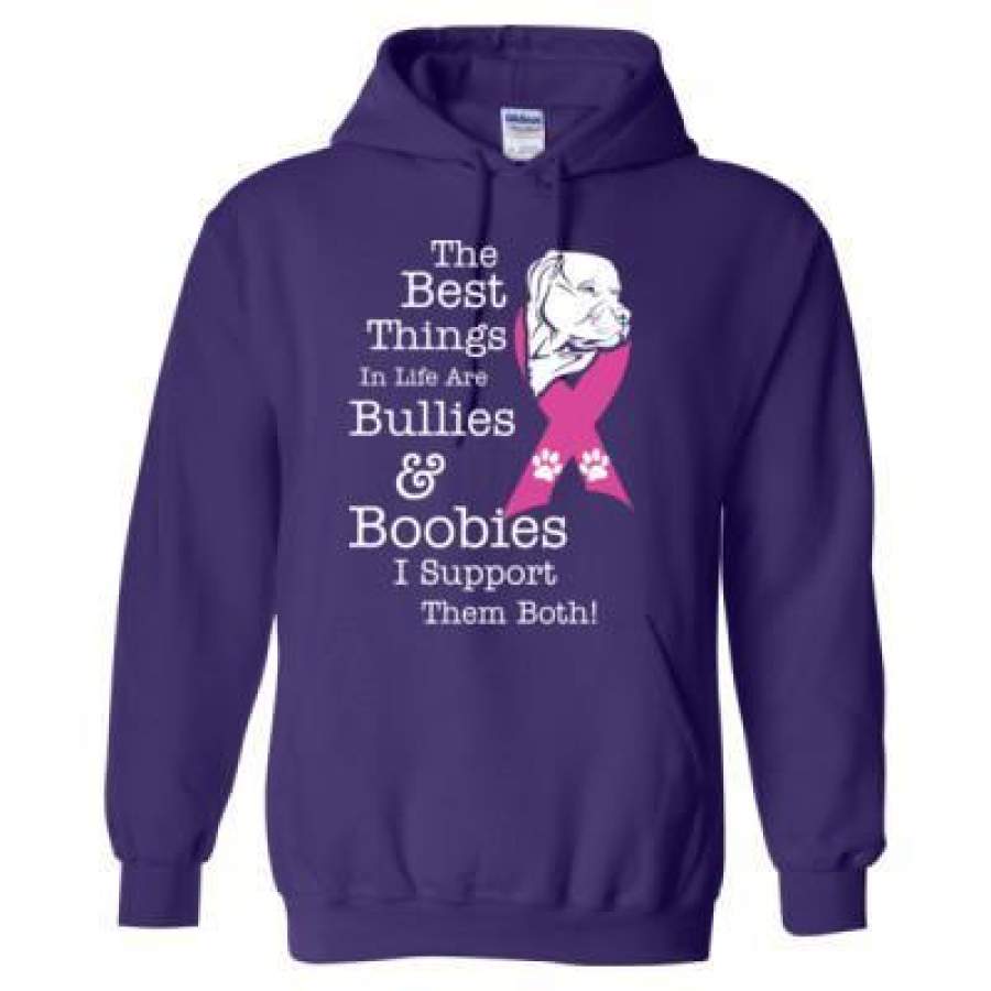 AGR The Best Things In Life Are Bullies And Boobies I Support Them Awareness – Heavy Blend™ Hooded Sweatshirt