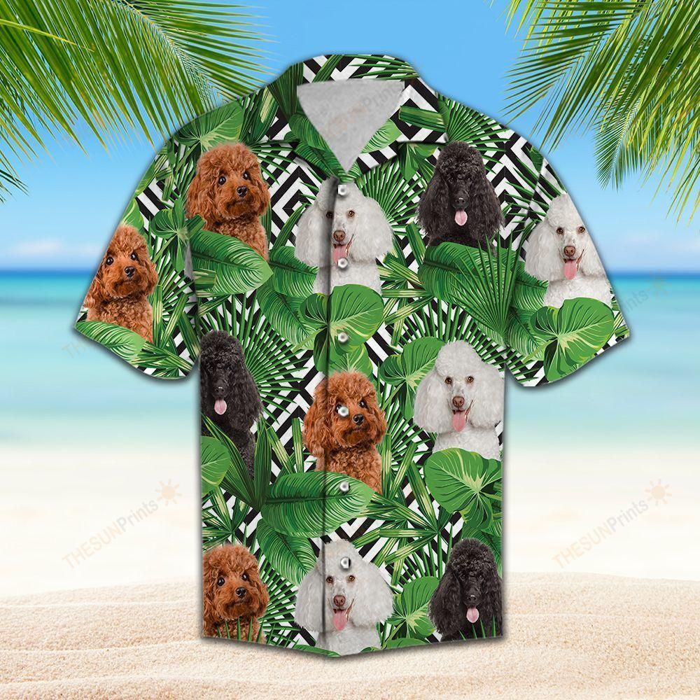 Summer Exotic Jungle Tropical Poodle Hawaiian Shirt Ha66999