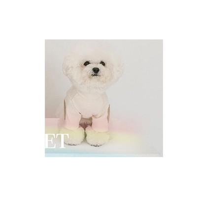 Autumn Pet Dog Chothes Cotton Warm Dog Sweaters Knitting For Chihuahua Puppy Small Medium Dogs Costume Outfit Yorkshire Coats alx