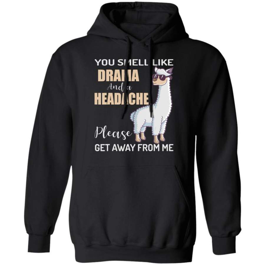 You Smell Like Drama And A Headache Funny Gift Hoodie