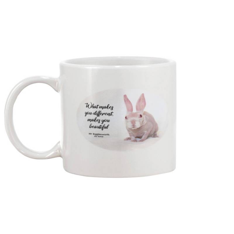 Mr. Bigglesworth Rabbit Beautiful 11oz Mug