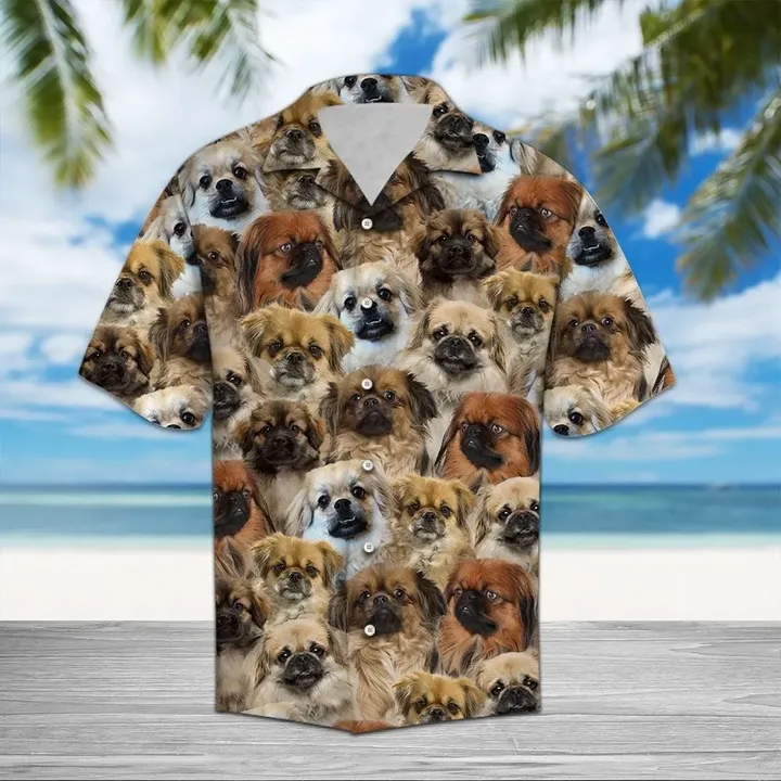 Tibetan Spaniel Tan Best Hawaii Shirt For Men Women Adult Ha60974