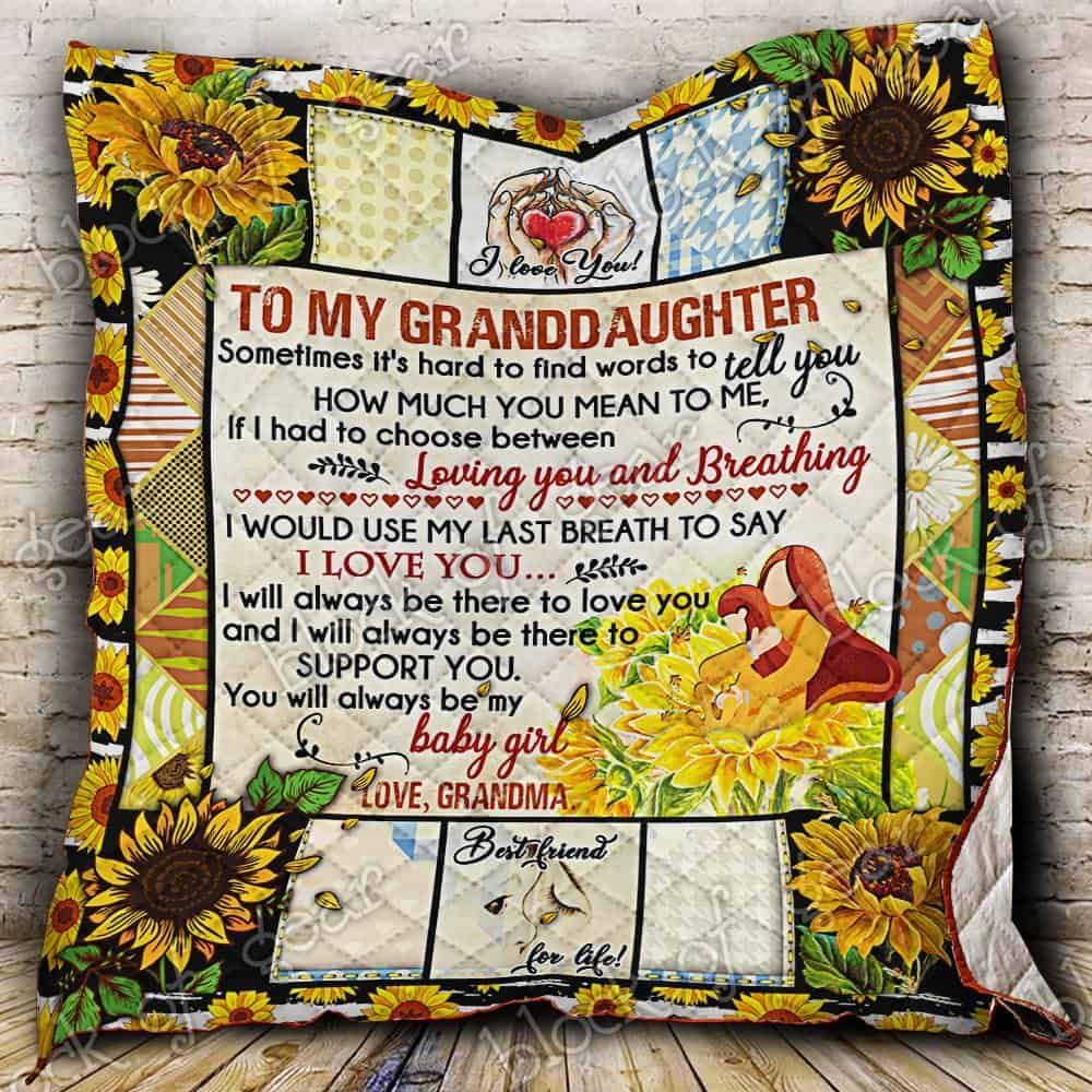 To My Grannddaughter, Loving You Quilt