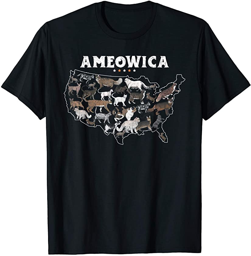 Meowica Ameowica America Cats Patriotic Kitten 4th of July T-Shirt