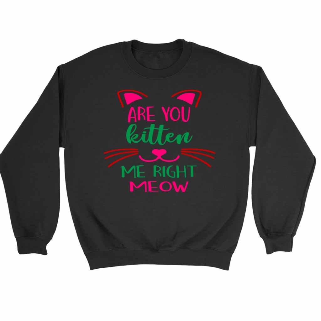 Are You Kitten Me Right Meow Aloen Sweatshirt Sweater