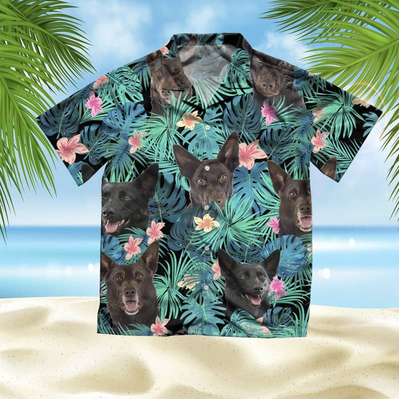 Felacia Australian Kelpie Summer Leaves Hawaii Shirt Ha98693