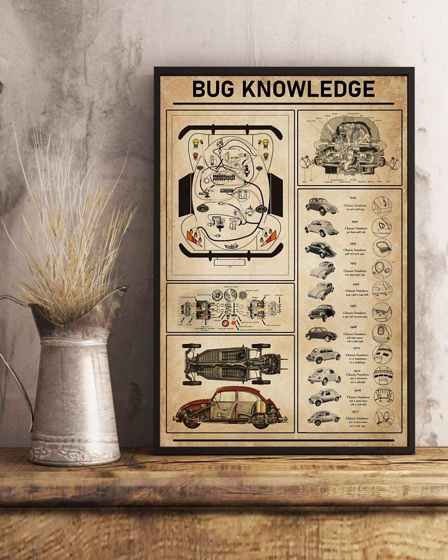 Bug Knowledge Car Satin Canvas Poster Wall Art