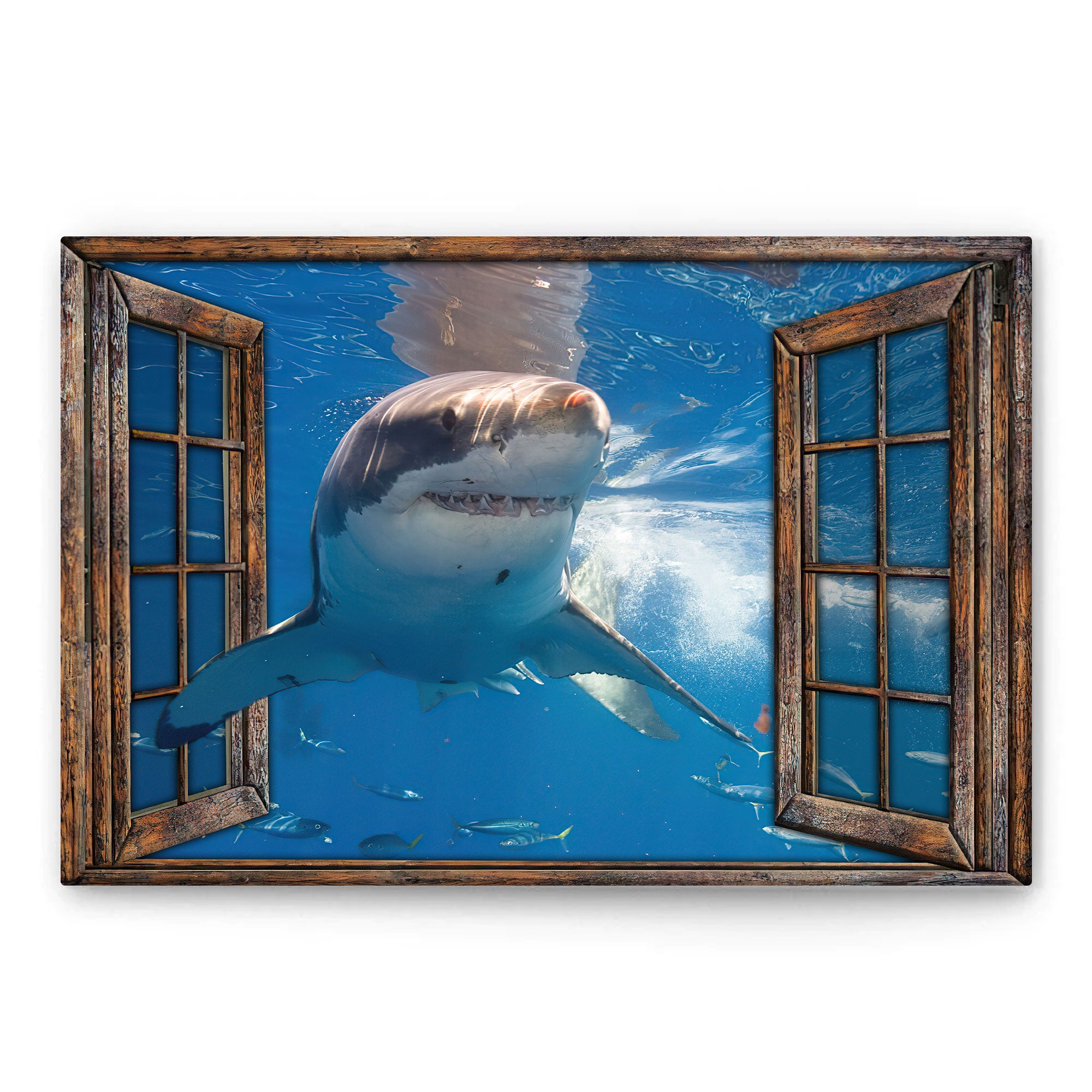 Shark Poster & Canvas, Shark In The Window Wall Art, Home Decor For Shark Lover