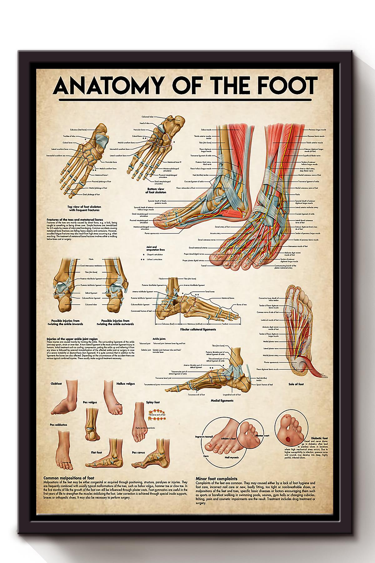 Anatomy Of The Foot Medical Knowledge Wall Art For Doctor Surgeon Hospital Clinic Decor Framed Matte Canvas