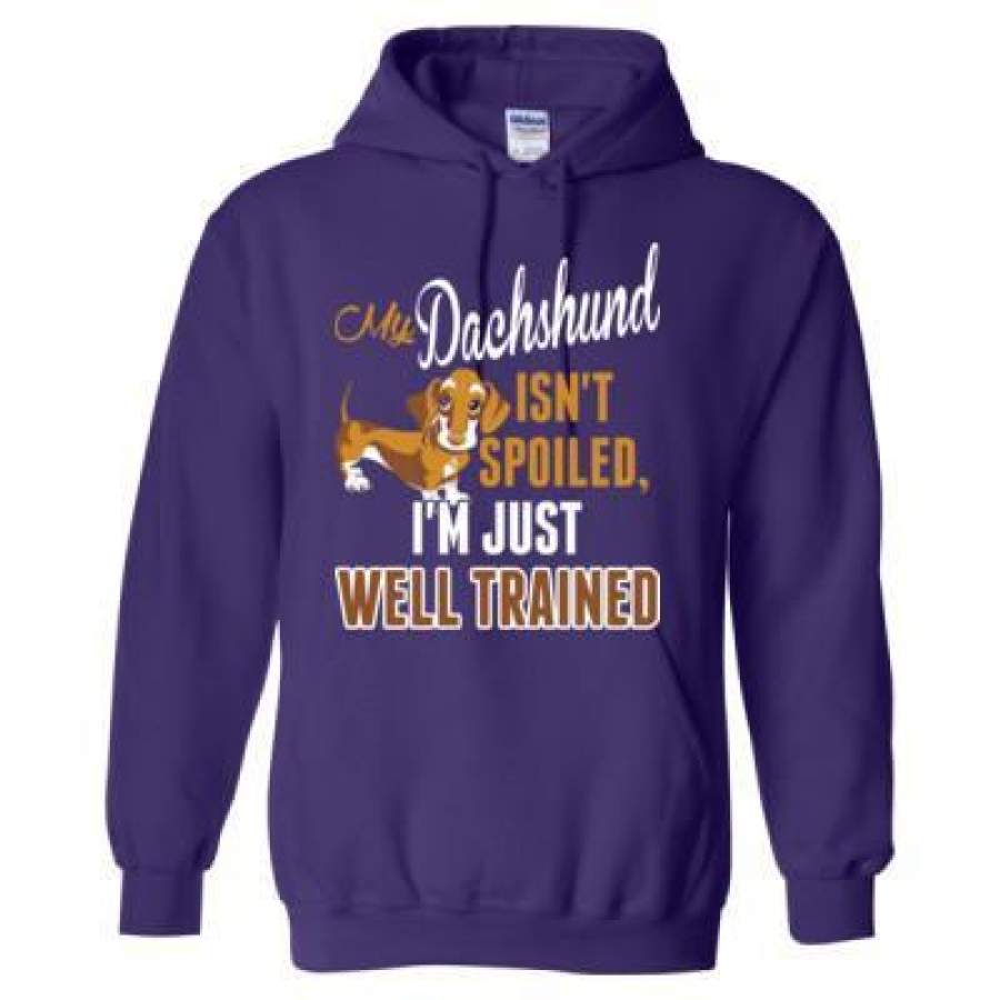 AGR My Dachshund Isnt Spoiled Im Just Well Trained – Heavy Blend™ Hooded Sweatshirt