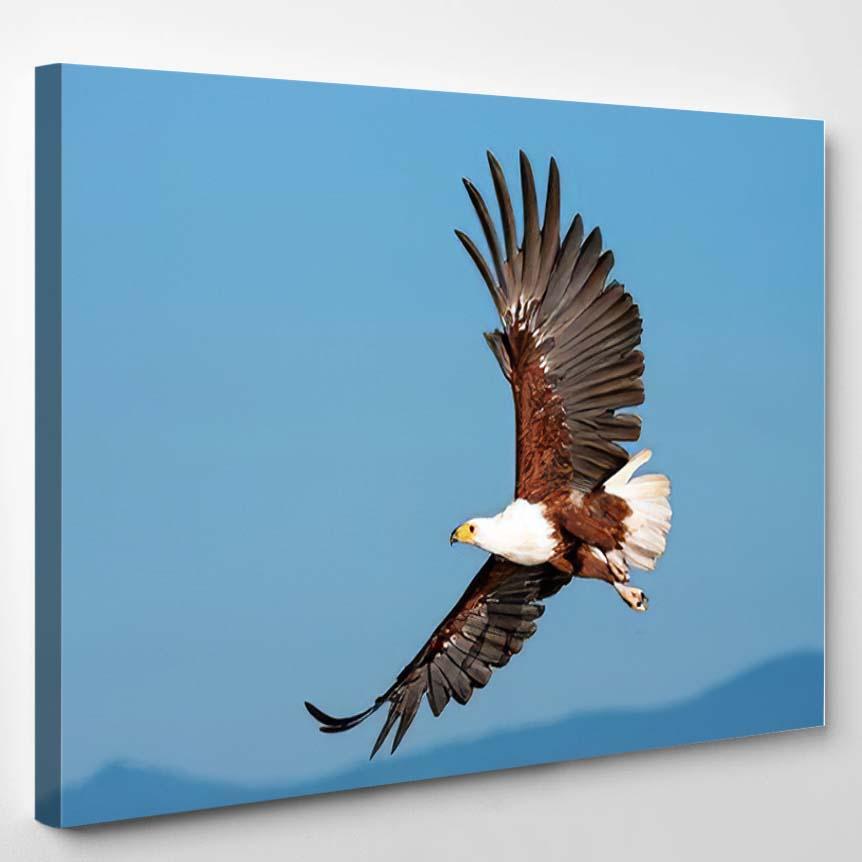 African Fish Eagle Flying Against Clear – Eagle Animals Canvas Print