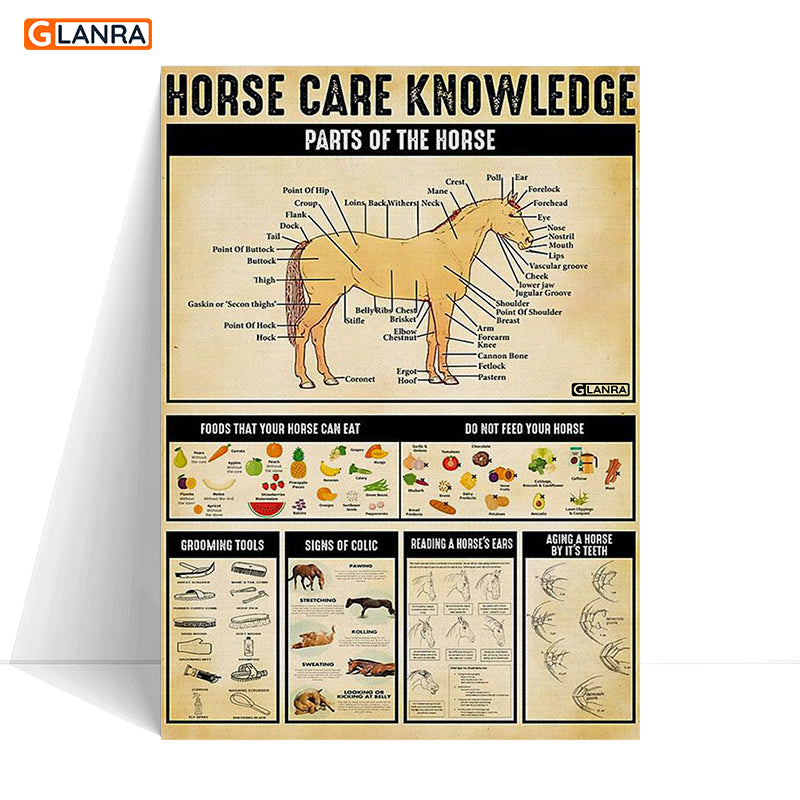 Horse Care Knowledge Poster Canvas  Horse Wall Art  Parts Of The Horse Poster  Horse Lover  The Horse Foods That Your Horse Can Eat Poster