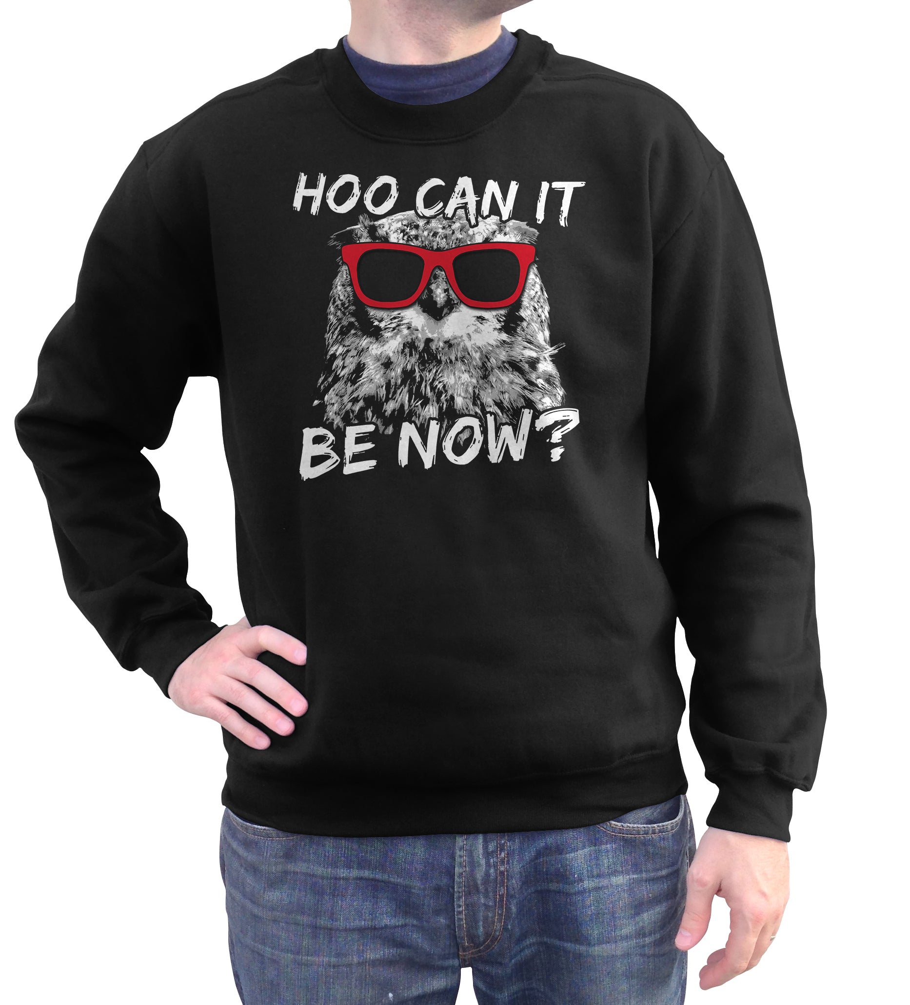 Unisex Hoo Can It Be Now Funny Owl Sweatshirt T-Shirt