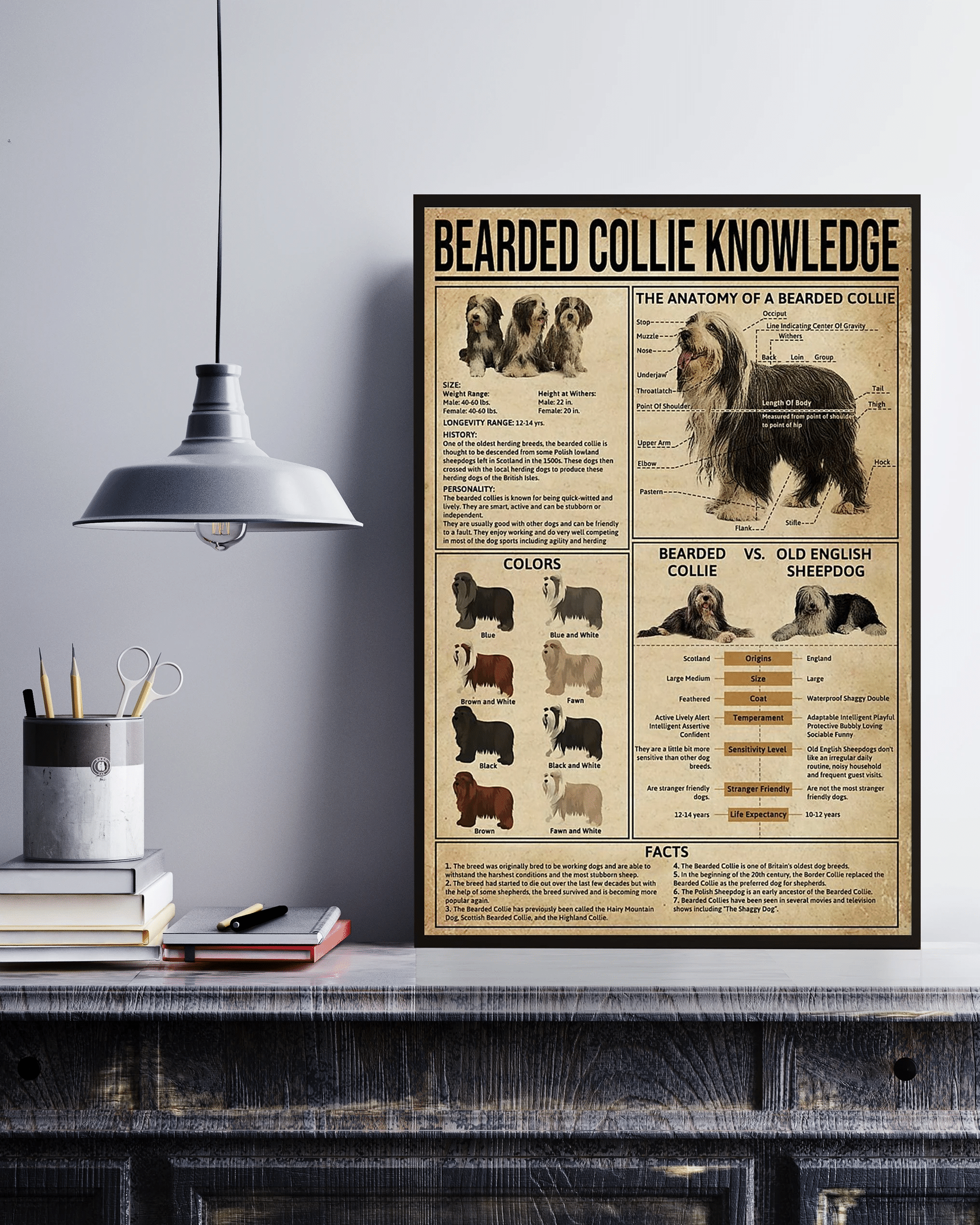 Bearded Collie Knowledge Canvas Poster Wall Art