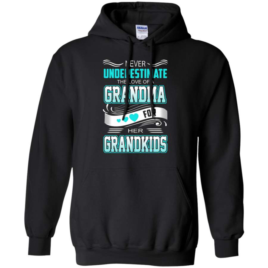 AGR Never Underestimate The Love Of A Grandma For Her Grandkids Hoodie