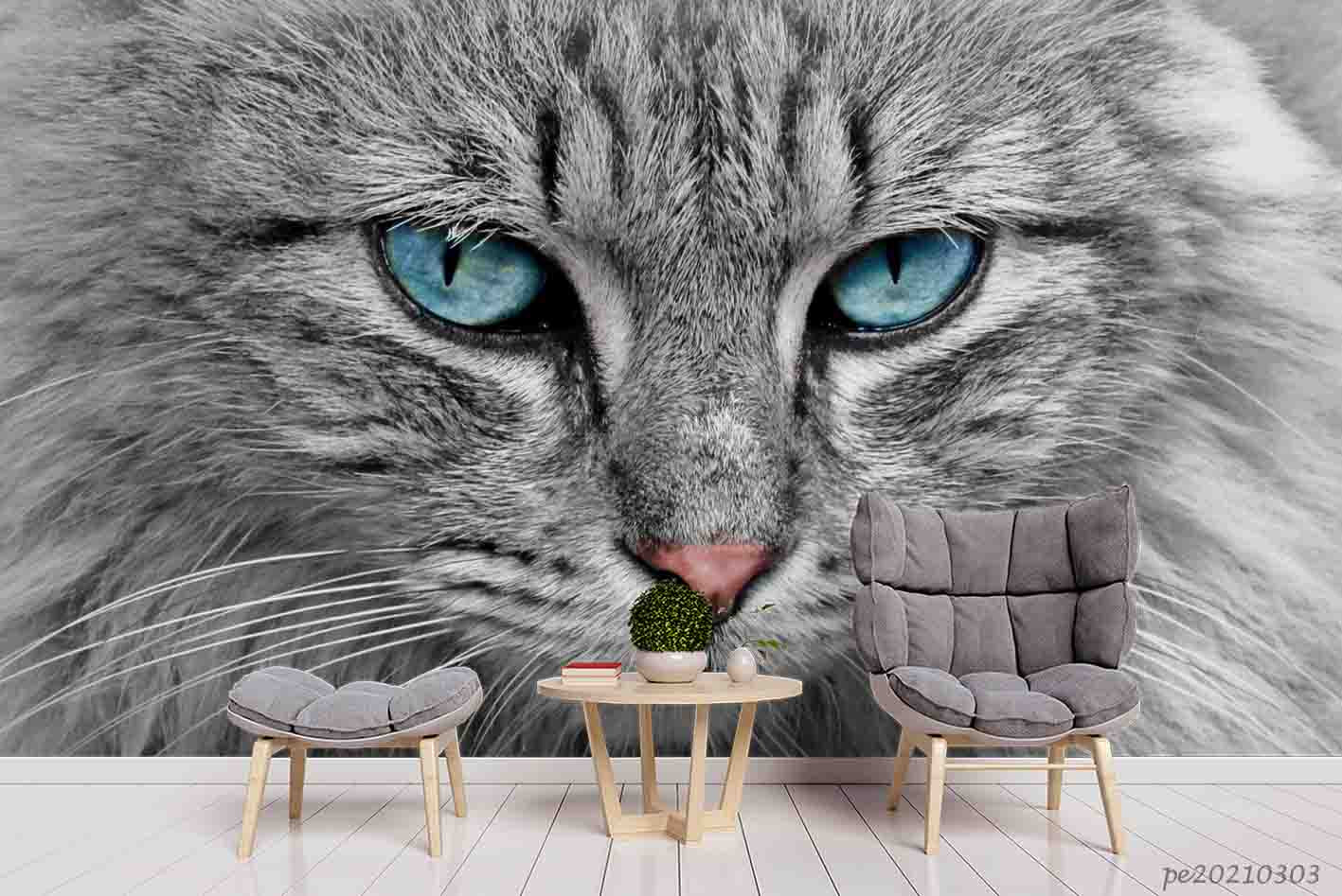 3D Animal Grey Cat Wall Mural Wallpaper Lqh 208