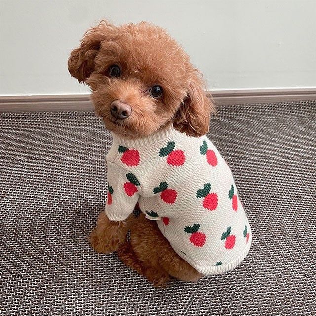 [2021 Hot Sale]Cute radish knitted sweater cats and dogs clothes Teddy pet Bichon Yorkshire puppies autumn and winter clothes alx