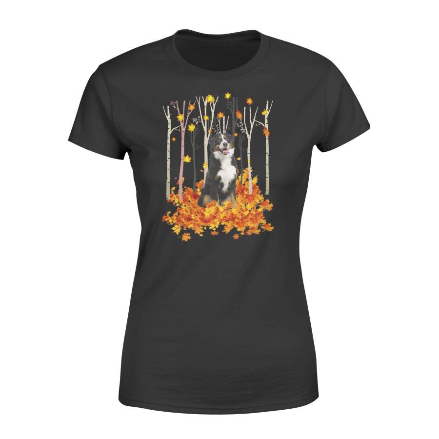 Fall Bernese Mountain Shirt and Hoodie – IPH444