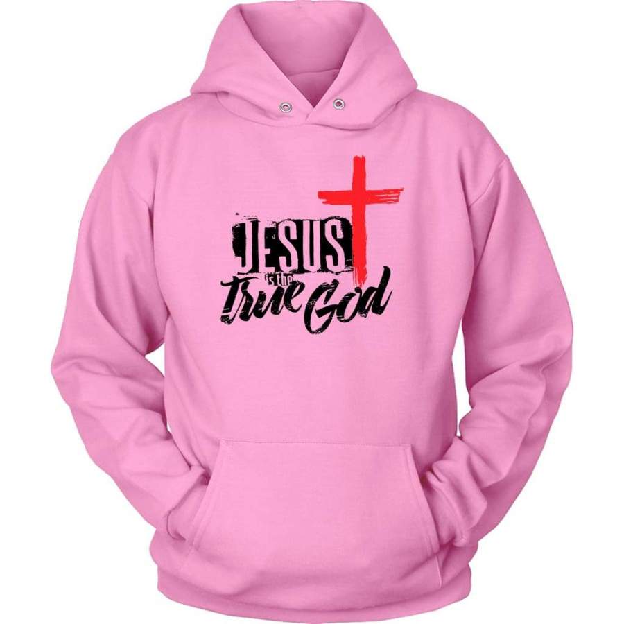 Jesus is the True God hoodie