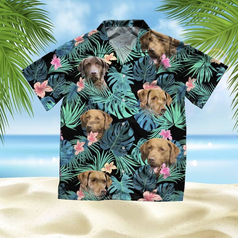 Felacia Chesapeake Bay Retriever Summer Leaves Hawaii Shirt Ha36463