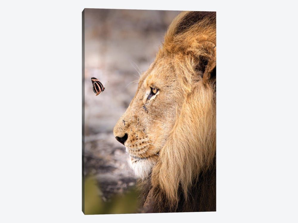 The Lion And The Butterfly Canvas Poster 8″x12″ 12×18″ 18″x26″ 24″x36″ 30″x45″